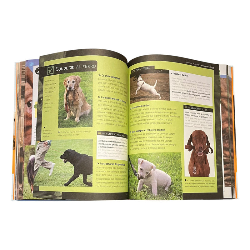 El Gran Libro De Los Perros (tapa Dura) / Servilibro