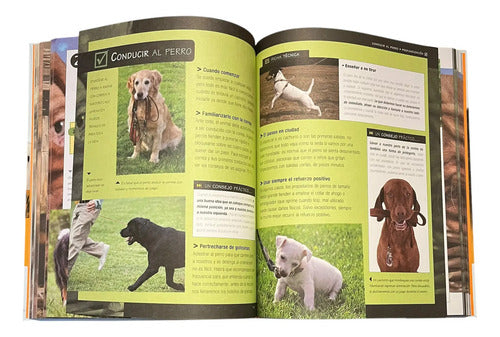 El Gran Libro De Los Perros (tapa Dura) / Servilibro