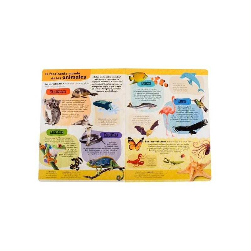 Mi Gran Libro De Animales / Lexus