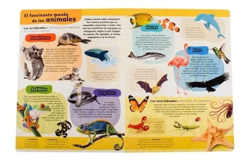 Mi Gran Libro De Animales / Lexus