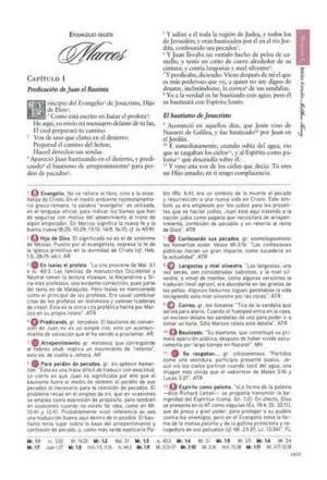 Biblia De Estudio Esquematizada / Sbu