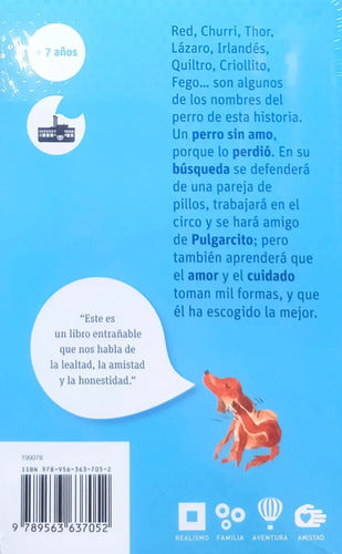 Amo Perdido / Tomas Onaindia