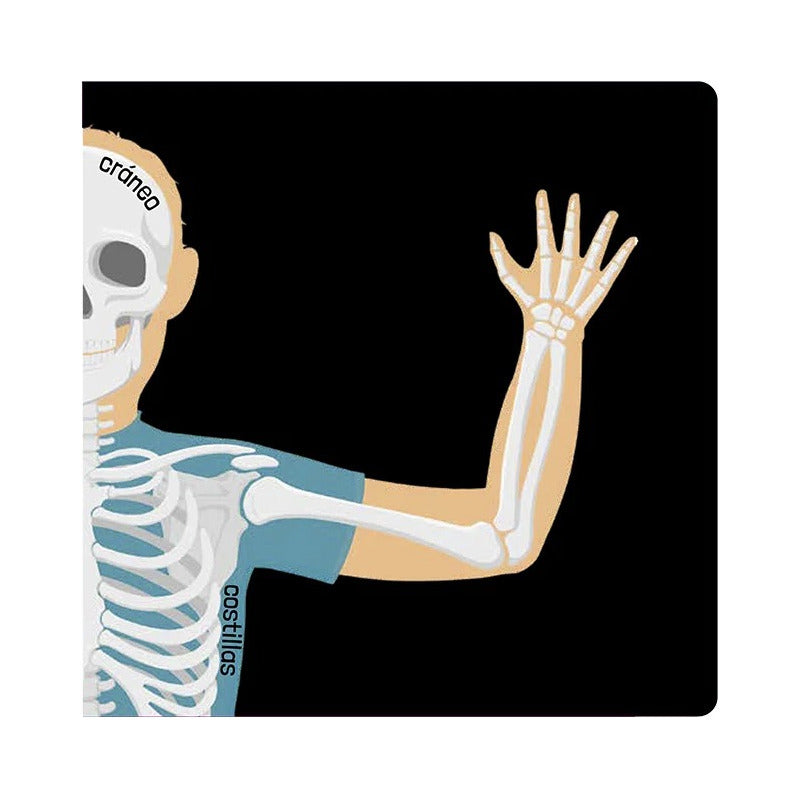 El Cuerpo Humano / Lexus