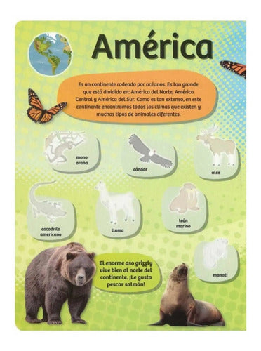 Animales Del Mundo (tapa Dura) / Lexus