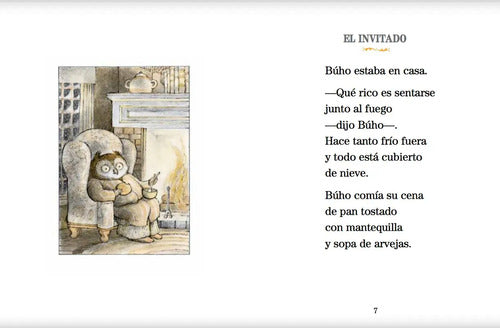 Búho En Casa (tapa Dura) / Ekare