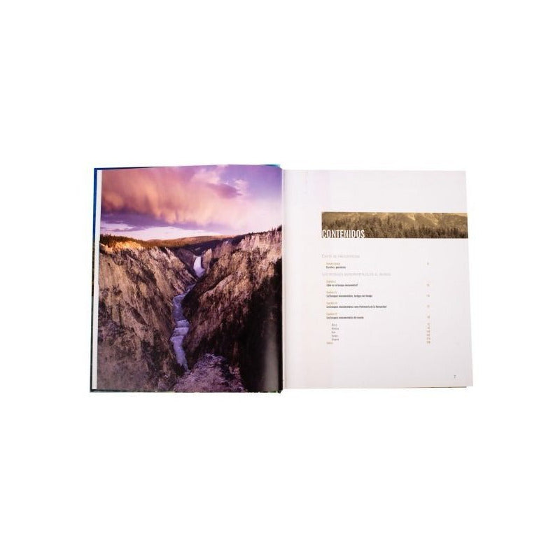 Atlas Ilustrado Bosques Monumentales Del Mundo / Lexus