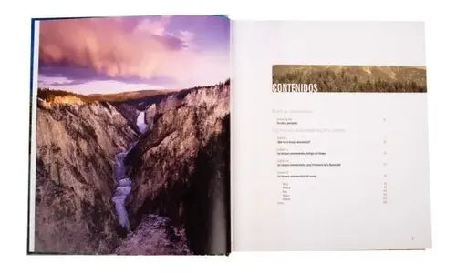 Atlas Ilustrado Bosques Monumentales Del Mundo / Lexus