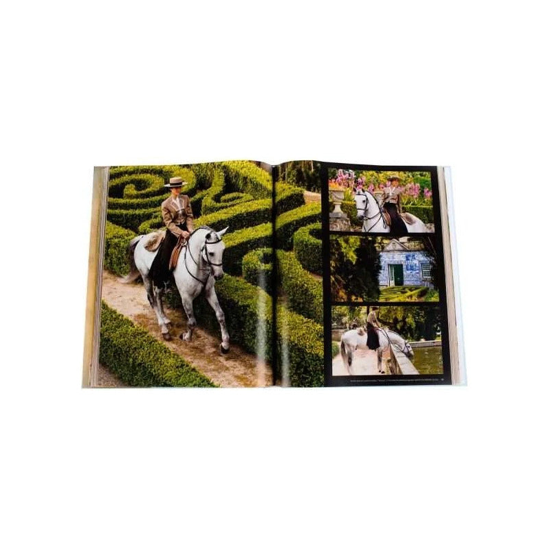 Andaluces Lusitanos (tapa Dura) / Lexus