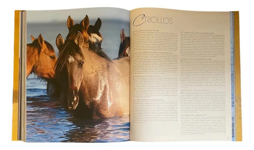 Los Caballos Más Bellos Del Mundo (tapa Dura) / Lexus