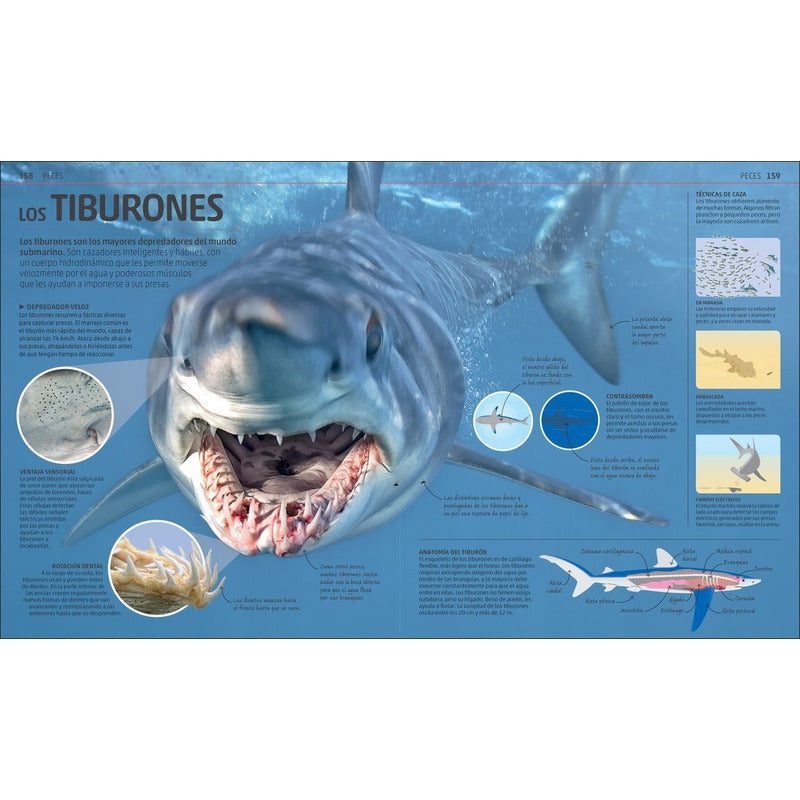 Dk Enciclopedia Secretos De La Naturaleza (tapa Dura)