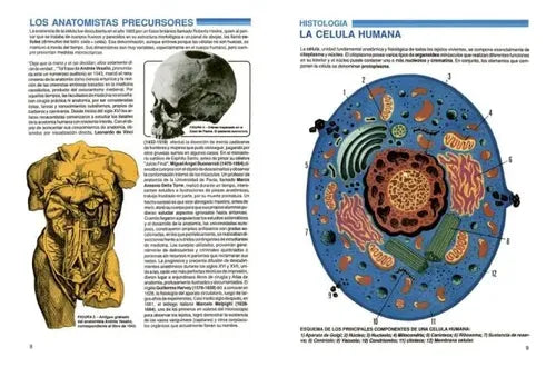 Atlas Del Cuerpo Humano / Zig-zag