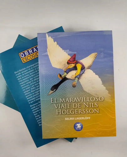 El Maravilloso Viaje De Nils Holgersson / Selma Lagerlof