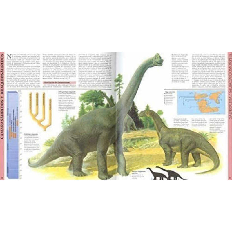Atlas Ilustrado De Los Dinosaurios / Lexus