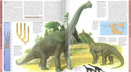 Atlas Ilustrado De Los Dinosaurios / Lexus