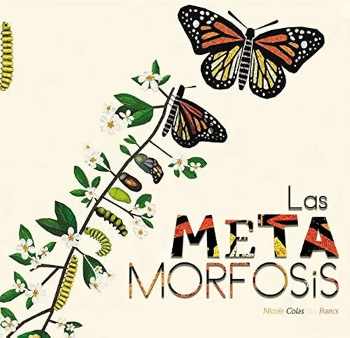 Las Metamorfosis / Nicole Colas Des Francs