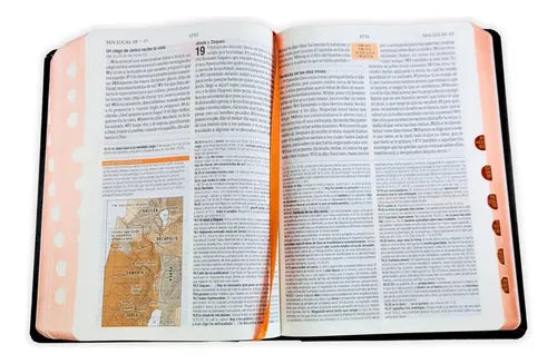Biblia De Estudio Teológico Reina Valera 1960