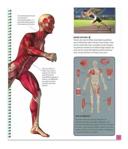 Explora El Cuerpo Humano (tapa Dura) / Lexus