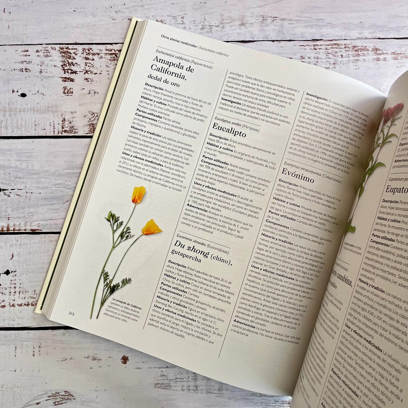 Enciclopedia De Plantas Medicinales (tapa Dura) / Chevallier