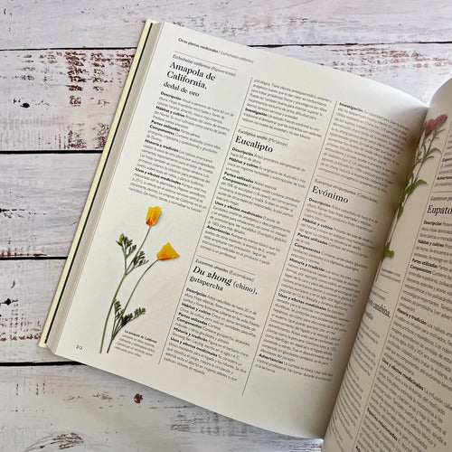 Enciclopedia De Plantas Medicinales (tapa Dura) / Chevallier