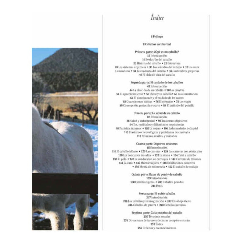 Enciclopedia Definitiva Del Caballo (tapa Dura) / Lexus