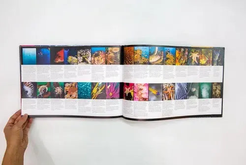 Mar De Chile (t.dura) / Eduardo Sorensen, Hector Jaramillo