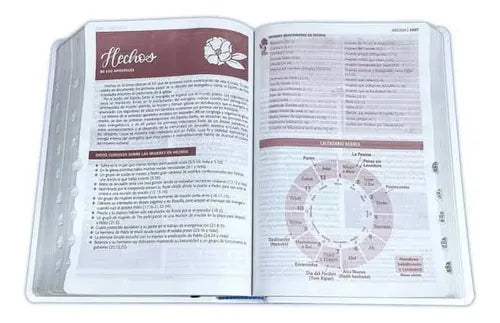 Biblia De Estudio Ser Mujer (tapa Piel) / Sbu