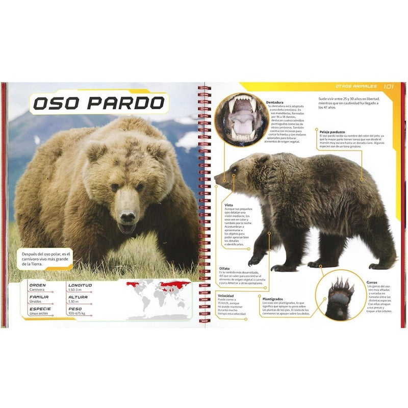 Depredadores Y Otros Animales Peligrosos / Lexus