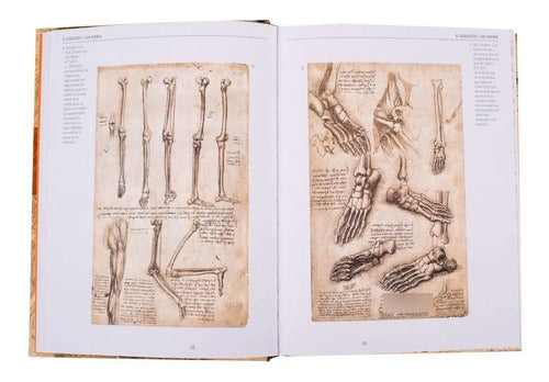 Leonardo Anatomía Y Vuelo (tapa Dura) / Lexus
