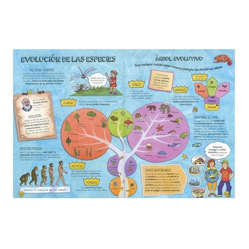 Descubre La Vida De Los Dinosaurios (tapa Dura) / Lexus