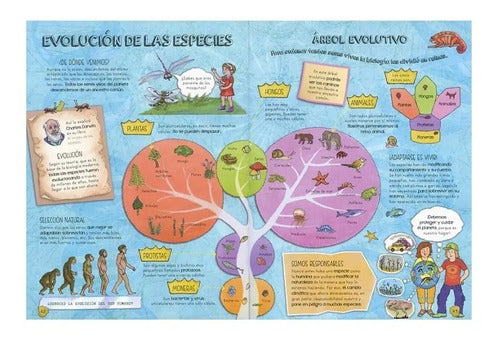 Descubre La Vida De Los Dinosaurios (tapa Dura) / Lexus
