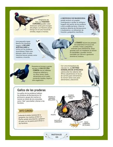 Escuela De La Naturaleza / Lexus