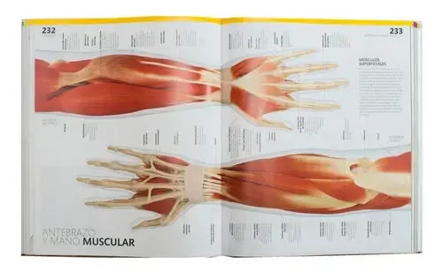 Dk El Gran Libro Del Cuerpo Humano (tapa Dura) / Dra Roberts