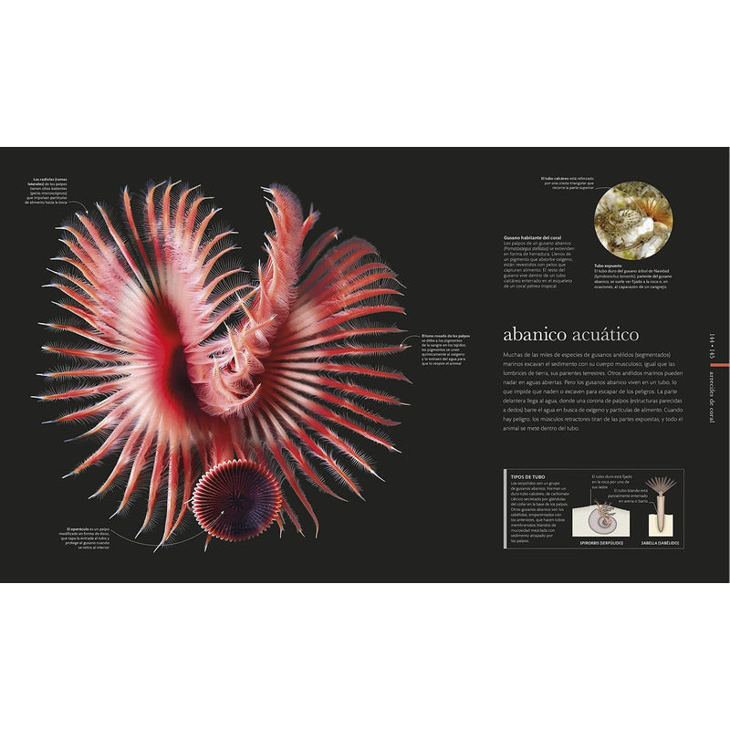 Dk Enciclopedia Oceanos El Mundo Secreto (tapa Dura)