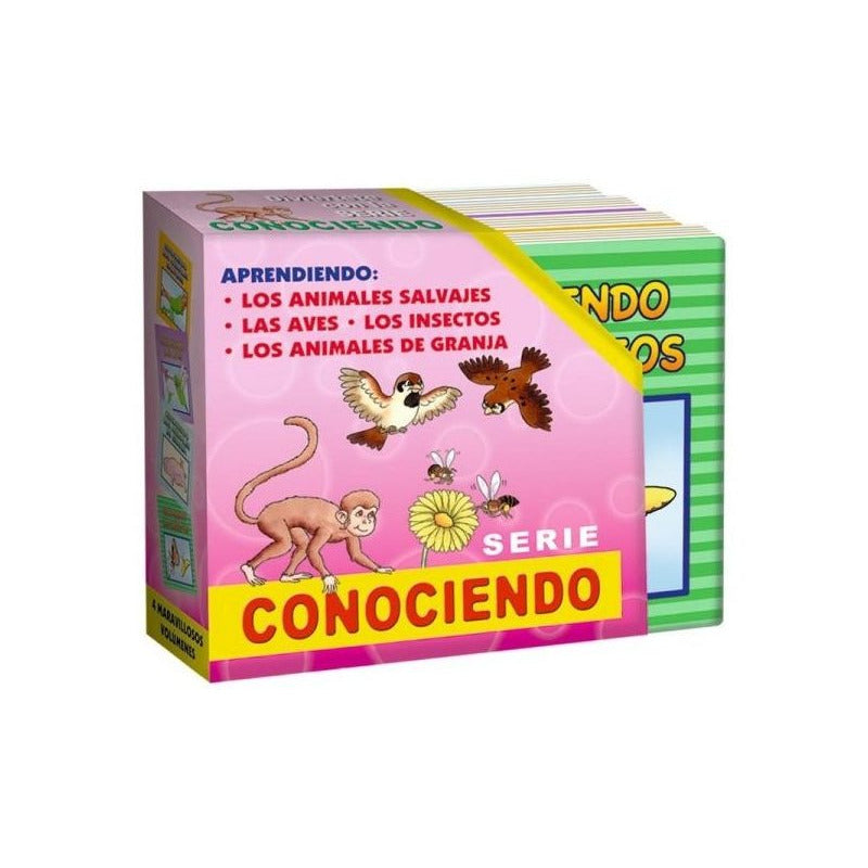 Serie Conociendo 4 Libritos / Lexus