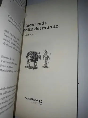 El Lugar Mas Bonito Del Mundo / Ann Cameron