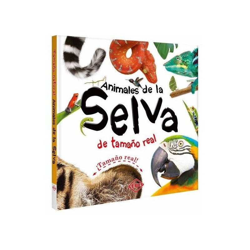 Animales De La Selva De Tamaño Real Desplegables / Lexus