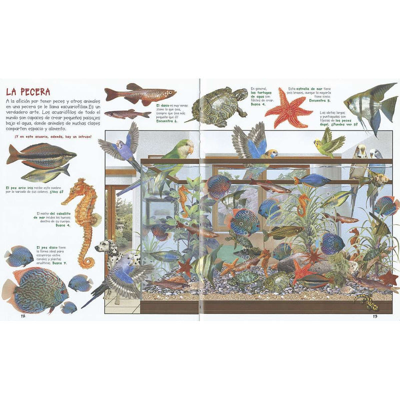 Busca Los Animales De Tu Ciudad (td) / Susaeta