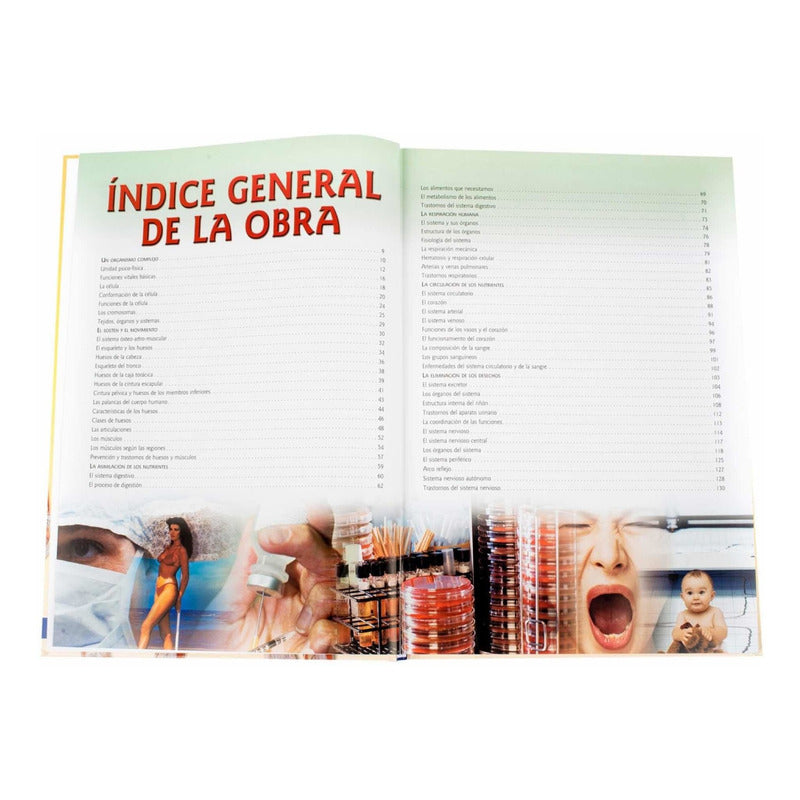 El Cuerpo Humano Fisiologia Y Anatomia / Lexus