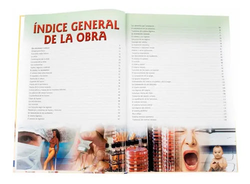 El Cuerpo Humano Fisiologia Y Anatomia / Lexus