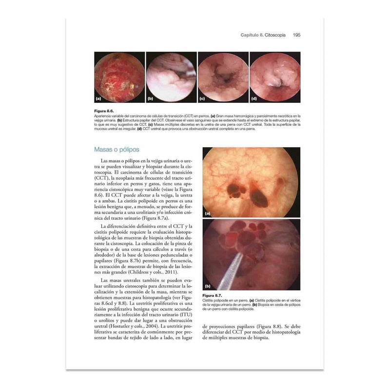 Manual De Nefrología Y Urología En Pequeños Animales / Lexus