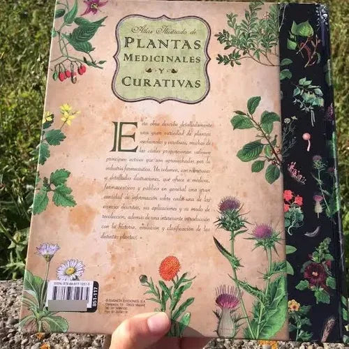 Atlas Ilustrado De Plantas Medicinales (tapa Dura) / Lexus