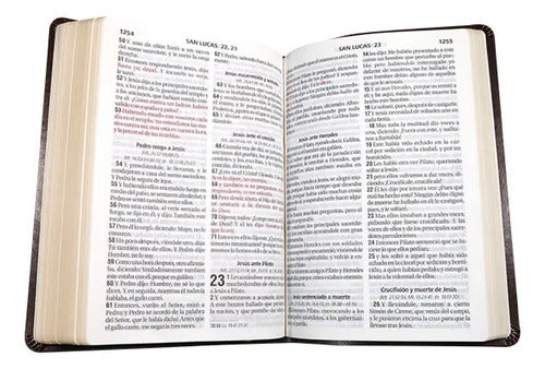 Santa Biblia Reina Valera 1960 Letra Gigante Piel / Sbu