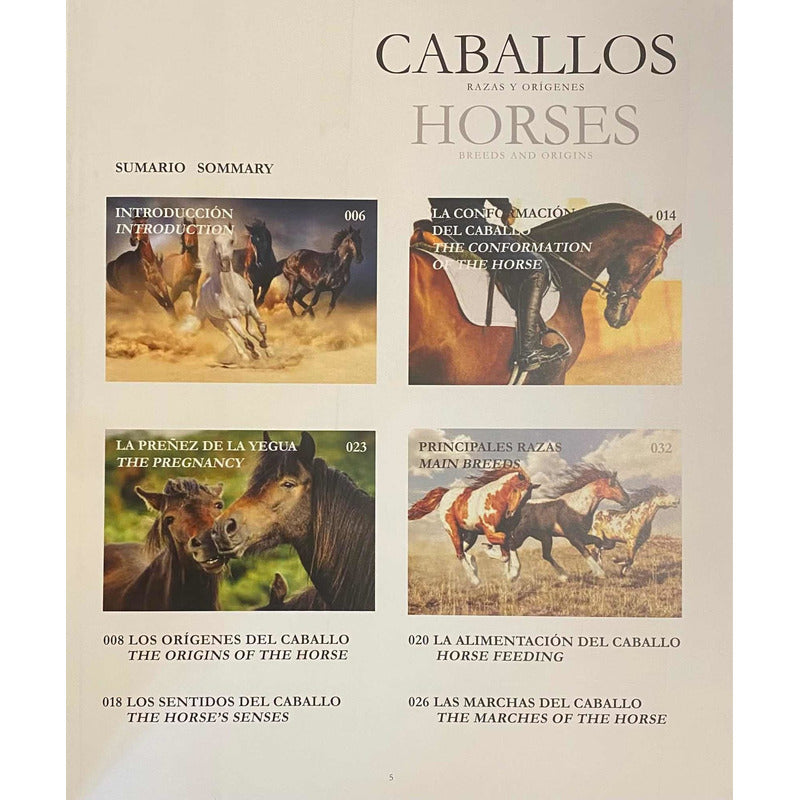 Caballos Razas Y Orígenes (tapa Dura) / Lexus
