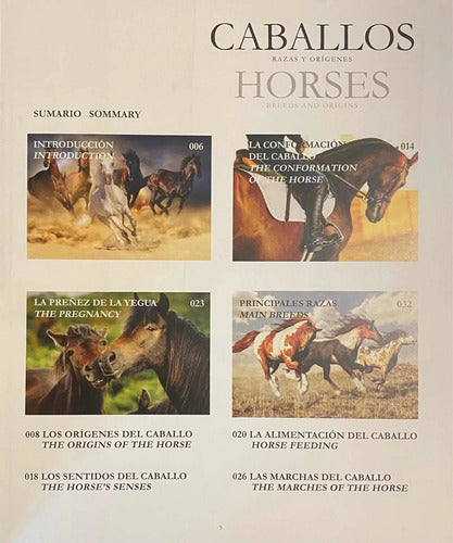 Caballos Razas Y Orígenes (tapa Dura) / Lexus
