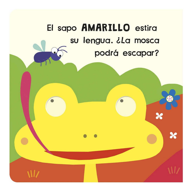 Mira Y Descubre Colores / Lexus