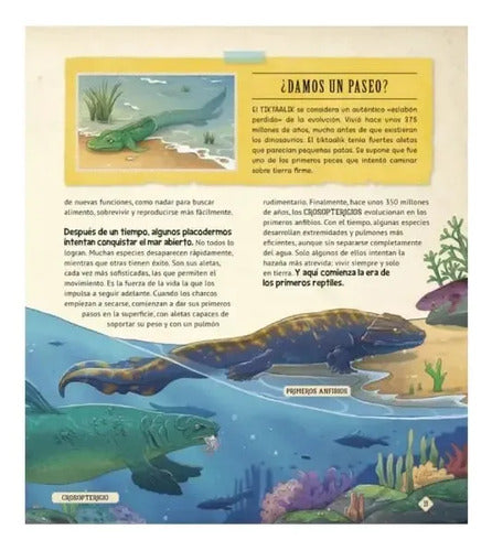 20 Extraordinarias Maravillas Del Mundo Prehistórico / Lexus