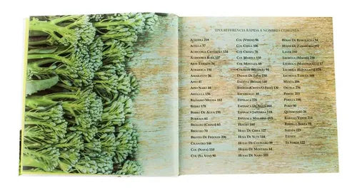 Súper Verdes (tapa Dura) / Lucy Cornell