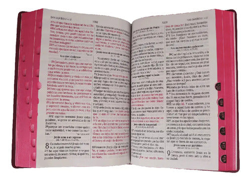 Santa Biblia Rvr1960 Letra Grande Concordancia Amplia