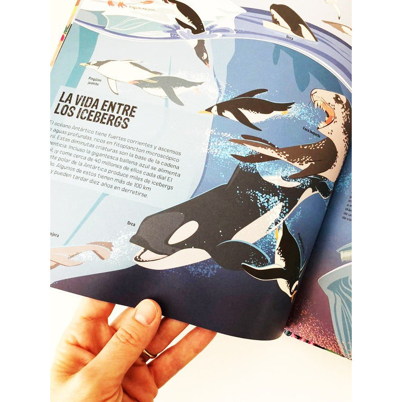 Mares Y Oceanos Un Atlas Animado (incluye App) / Contrapunto