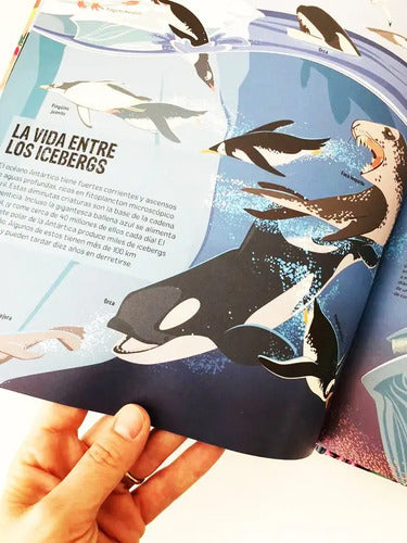 Mares Y Oceanos Un Atlas Animado (incluye App) / Contrapunto